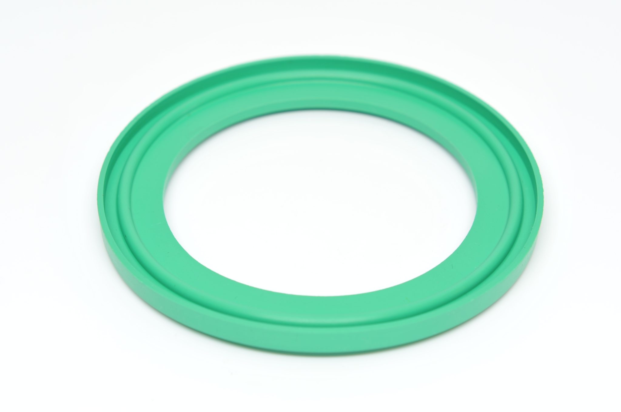 Fittings Tri Clamp Gasket FKM DN50 Root Sciences