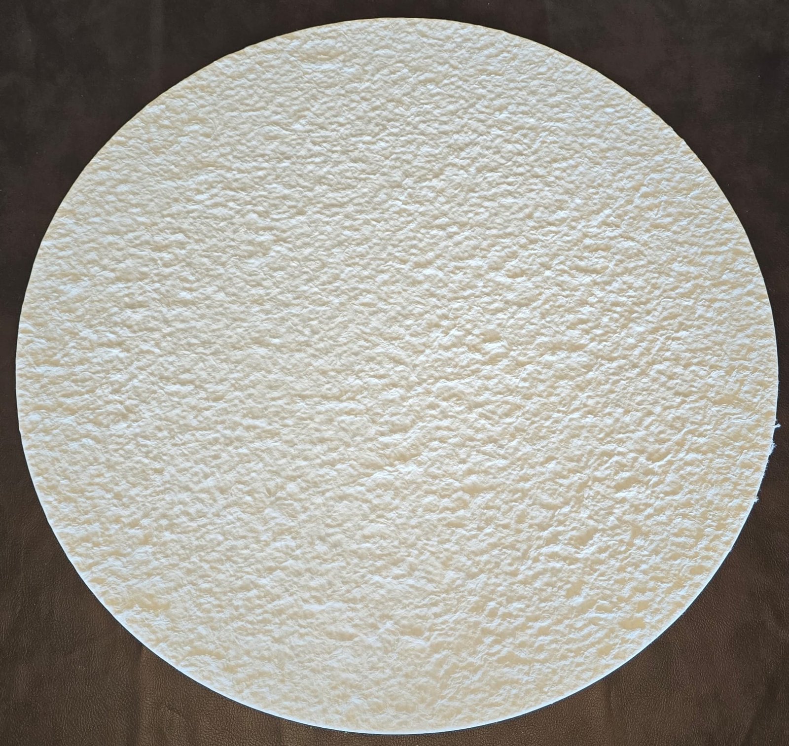 DE Filter Pad 10 um (50 Pack)